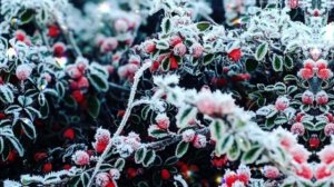 7 февраля народный праздник Григорьев День. Что нельзя делать. Народные традиции и приметы.