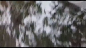 Замена памперса на Шевроле Кобальт