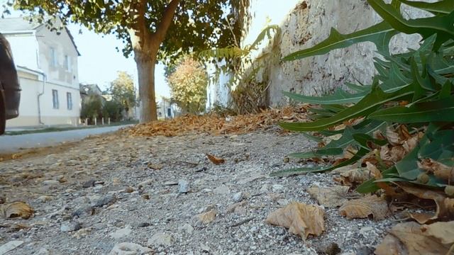 Вам и не снилось смотреть онлайн