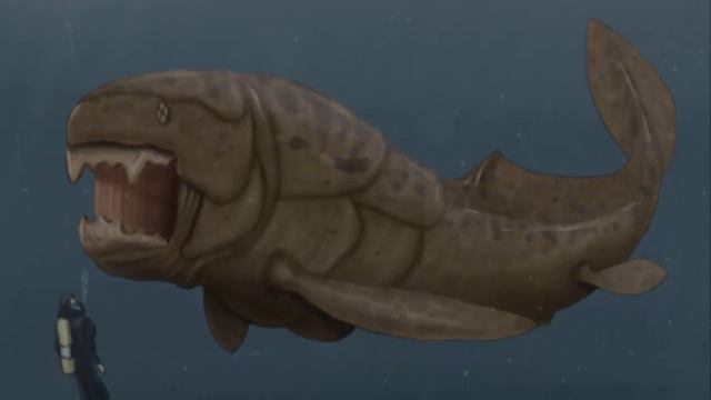 Дунклеостей . Dunkleosteus - доисторическая  хищная рыба .