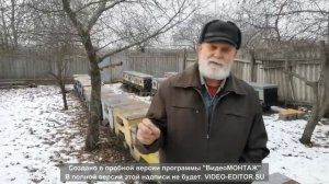 Зимовки на пасеке Карелова П. Ф.