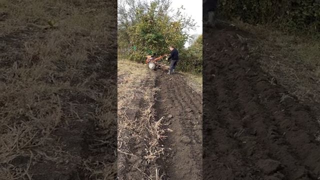 Мотоблок агро с переделанным плугом от трактора.