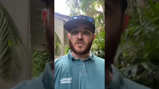 BIG ficus hedges смотреть онлайн