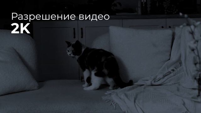 Умная камера видеонаблюдения Botslab Indoor Camera 2 (C211)