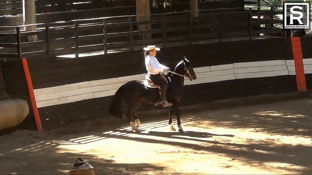 MOVIMIENTO A LA RIENDA, RODEO CLUB CHIMBARONGO смотреть онлайн