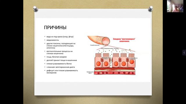 Гипер проницаемость кишечника/ Причины, последствия и разрешения смотреть онлайн