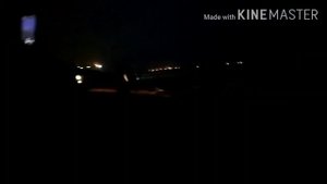 Подводный мир прибрежной зоны охотского моря и чайки магадана