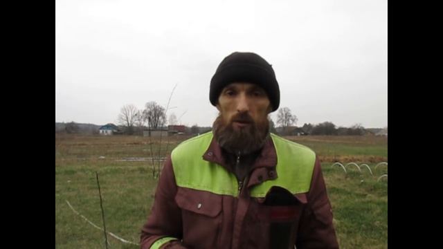 Про крота и не только. Вреден ли крот.