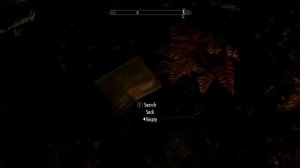 Let's Definitively Play Skyrim Part 100: Riften Jail