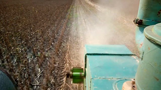Уборка подсолнуха 2020 MIRASOL Seed (Bonasol JMR) в засушливый год. смотреть онлайн
