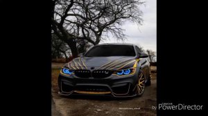 Бранила Мама Растамана Гиббон Аи2 & Yansniel Navarro