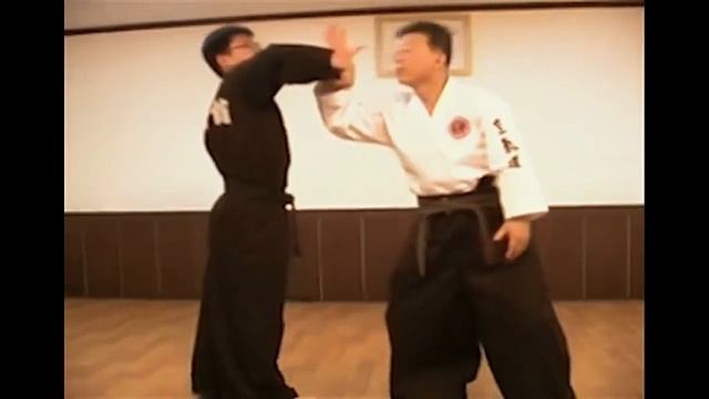 Hapkido ХАНКИДО ---- 12 БАЗОВЫХ ТЕХНИК .... смотреть онлайн