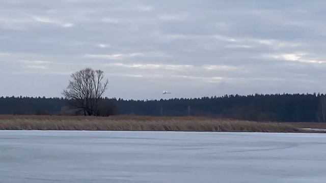 Водохранилище Старый Оскол лебеди прилетели 23 02 2022