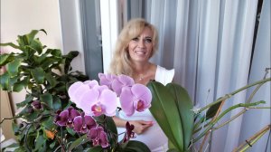 МОИ САМЫЕ ДОРОГИЕ ОРХИДЕИ!