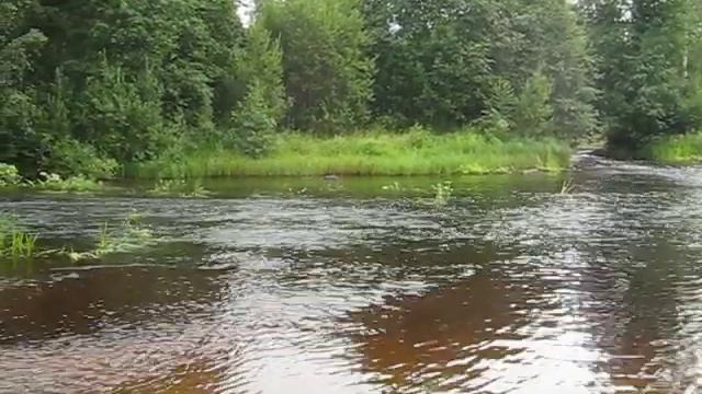 Стихотворение Ладога. Автор - Скрытень Волк смотреть онлайн