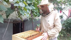 Ганемановская решетка. Применять или нет? Чем заменить?