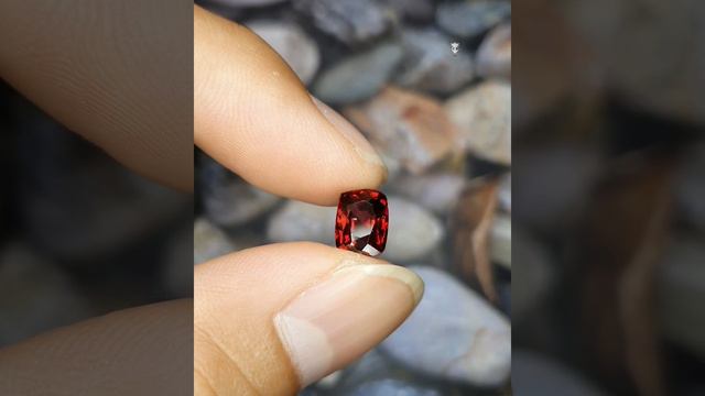 Batu Permata Natural Pyrope Garnet SriLanka 2.45 Ct No Treatment Memo