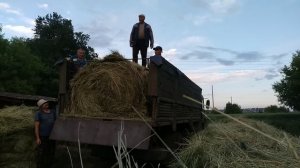 Заготовка сена//Окучиваем картошку вручную.