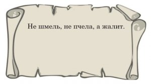 Русские народные загадки для детей и взрослых с ответами и картинками. Старые загадки. Видео.