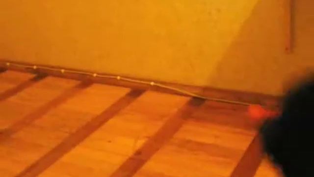 Albi смотреть онлайн