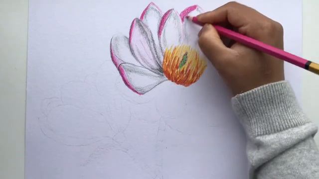 How to color magnolia flower with colored pencils for Beginners | Flower coloring смотреть онлайн