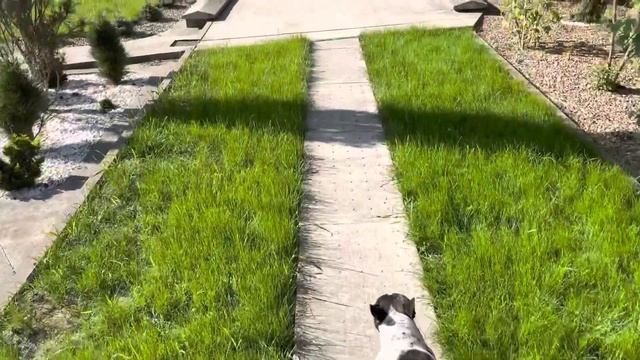 Производство тяпок требует отдыха… смотреть онлайн