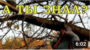 Самые частые ОШИБКИ осенью⛔⛔⛔