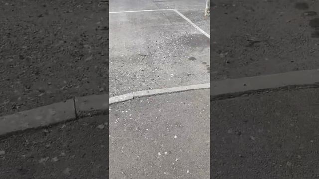 Голуби всё обгадили!