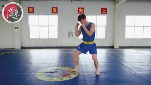 Базовая техника Ушу-саньда. Урок 3. Основные удары руками.