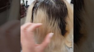 Окрашивание волос Wella Koleston Perfect