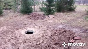 Полы, канализация на мини ферме КРС