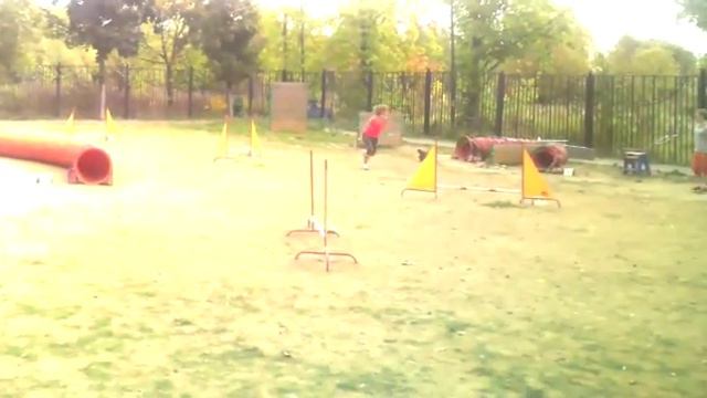 Деймос аджилити д0 смотреть онлайн