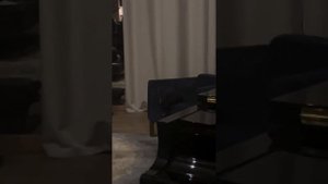 Дима Билан: Шах играет с подарками от поклонников 🎁🐾