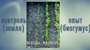 Биогумус. Применение дома и на садовом участке