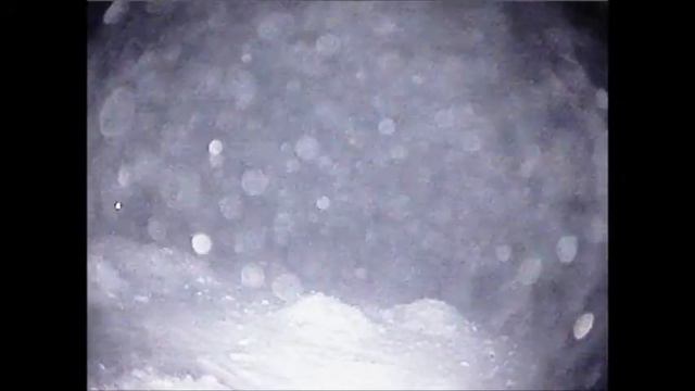 Прикормка на сига Премиум смотреть онлайн