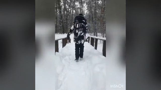 Сосна - великанша смотреть онлайн