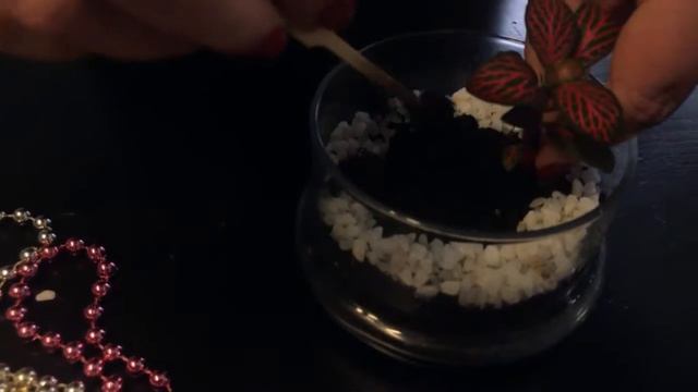 видео урок и мастер класс "флорариум своими руками"