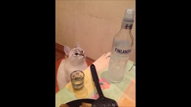 Dj Spizdil - Nas ne dogonyat [Hardstyle] смотреть онлайн