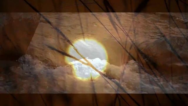 From The Nature To Create Best - Skin1004 Madagascar Centella Asiatica Toning Toner смотреть онлайн