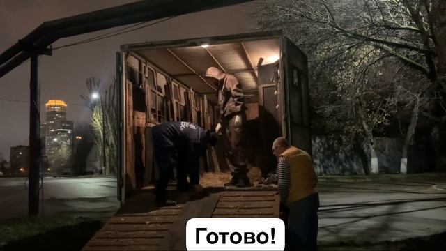 Погрузка Трюфеля. До встречи, малыш ?? смотреть онлайн