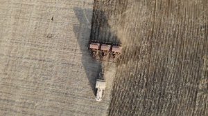 Т4 (Алтай) Сеет пшеницу