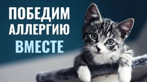 Кошка поможет избавиться ребенку от аллергии в 95% случаях