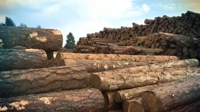 Оцилиндрованное бревно лиственницы в Москве +7(495)517-56-01 смотреть онлайн