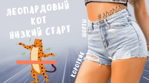 Леопардовый кот - низкий старт..) #shorts