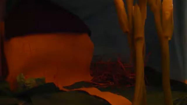 Jack and the Giant's beanstalk смотреть онлайн