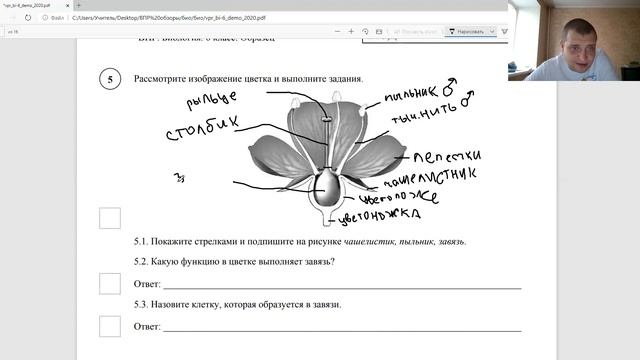 Оценка впр по биологии 6 класс