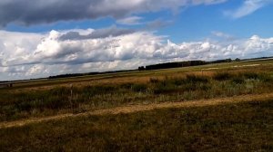 Бычки ,бараны  на электро пастухе\ жизнь в деревне\