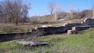 "Голубой Дунай" в Воронеже