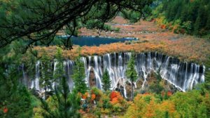 Jiuzhaigou #china #sichuan #panda