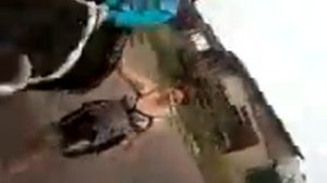 езда на корове